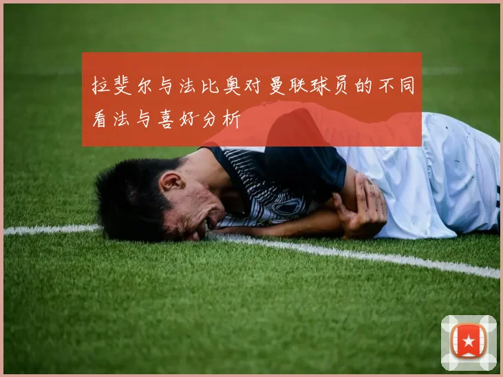 拉斐尔与法比奥对曼联球员的不同看法与喜好分析